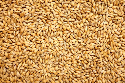 Dehulled Barley